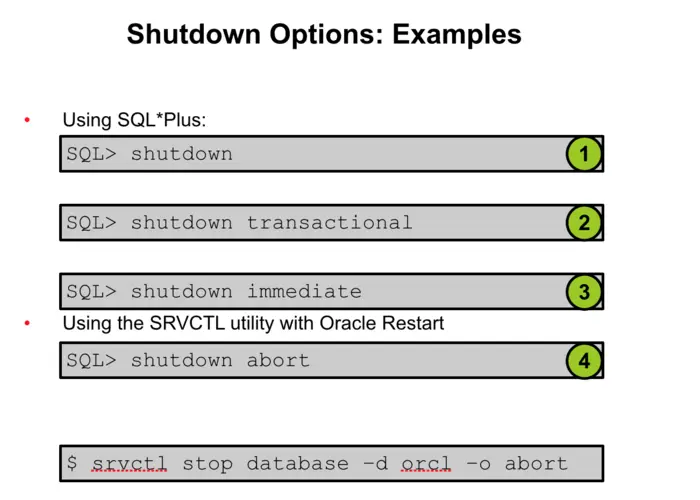 Shutdown Options: Examples