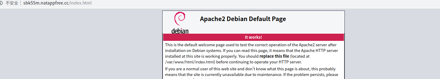 natapp成功示意图