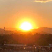 小写的V的个人资料头像