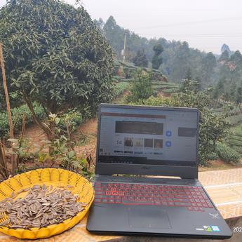 ghrace于2020-02-14 13:47发布的图片