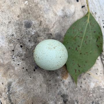 摸鱼大王脑残片于2020-02-14 14:52发布的图片