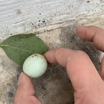 摸鱼大王脑残片于2020-02-14 14:52发布的图片