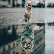 Tayler的个人资料头像