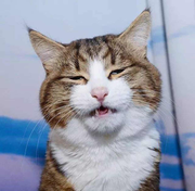 游城的个人资料头像