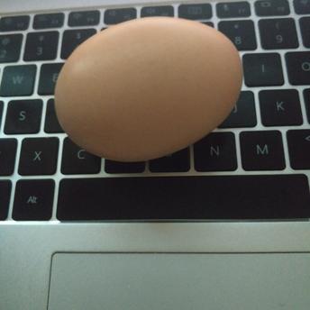 wangly19于2020-02-16 08:07发布的图片