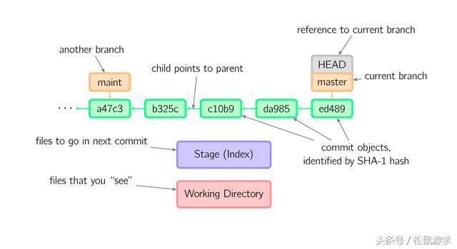 Git 原理 与 常用命令解析