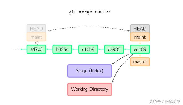 Git 原理 与 常用命令解析