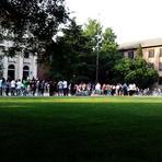 tinyfung的个人资料头像