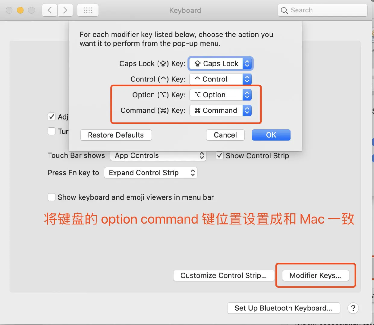 option 和 command 键位设置