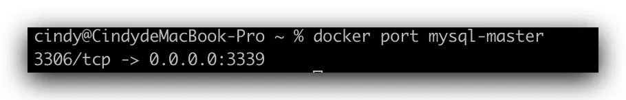 image-20200218163604515