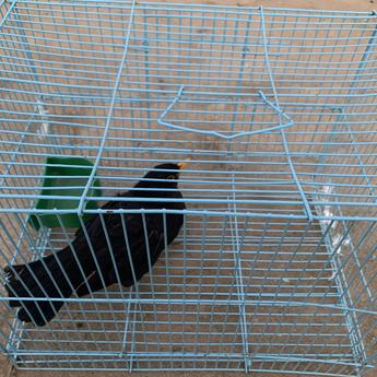 摸鱼大王脑残片于2020-02-19 06:43发布的图片