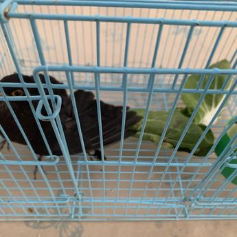 摸鱼大王脑残片于2020-02-19 06:46发布的图片