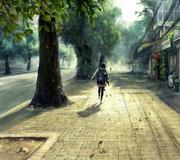 七星瓢虫的个人资料头像