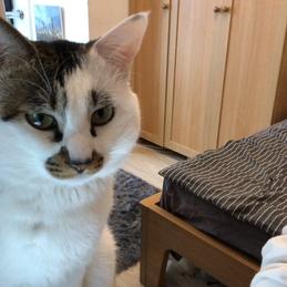 道连于2020-02-19 09:34发布的图片