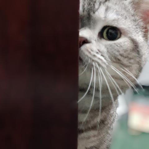 潇洒的一条狗于2020-02-20 11:06发布的图片