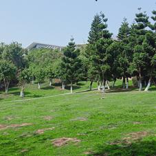 幸福的小米虫于2020-02-20 13:06发布的图片