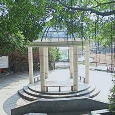 幸福的小米虫于2020-02-20 13:06发布的图片