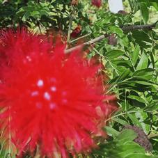 幸福的小米虫于2020-02-20 13:06发布的图片