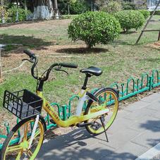 幸福的小米虫于2020-02-20 13:06发布的图片