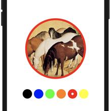 springday于2020-02-20 15:49发布的图片