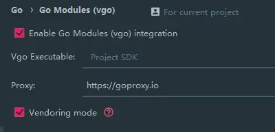 Go module vendor