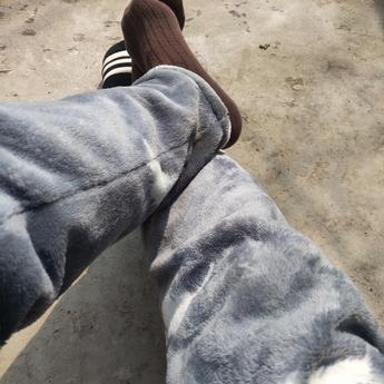 南辞同志于2020-02-21 12:57发布的图片