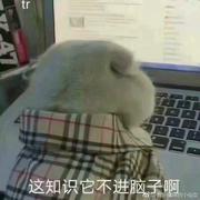 chocQian的个人资料头像