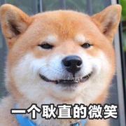 米苏丿的个人资料头像