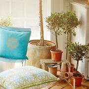 fisher同学56202的个人资料头像