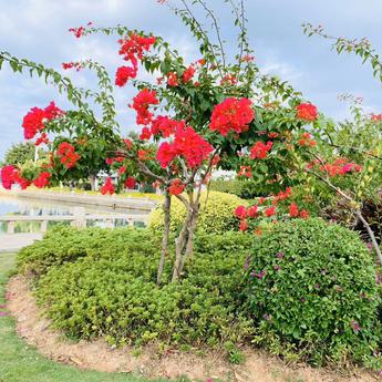 幸福的小米虫于2020-02-25 13:11发布的图片