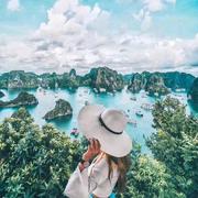 离离花的个人资料头像