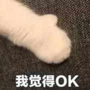 zisway的个人资料头像