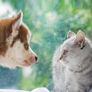 _healer_的个人资料头像