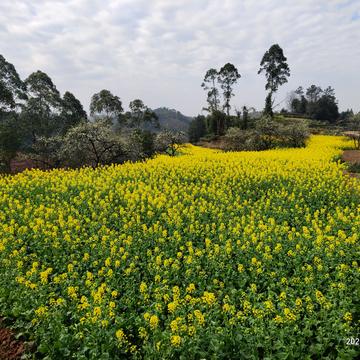 ghrace于2020-02-28 11:20发布的图片