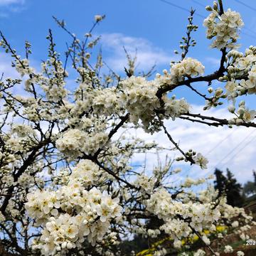 ghrace于2020-02-28 11:20发布的图片