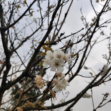 ghrace于2020-02-28 11:20发布的图片