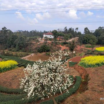 ghrace于2020-02-28 11:20发布的图片