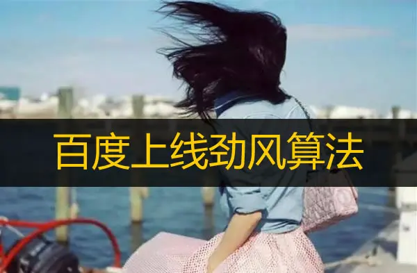 百度上线劲风算法 专门打击聚合页 百度 SEO 微新闻 第1张