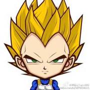 不会飞的鸟儿的个人资料头像