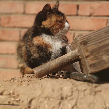 神奇的程序员于2020-02-03 10:15发布的图片