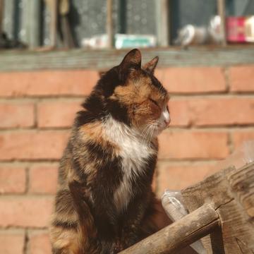 神奇的程序员于2020-02-03 10:15发布的图片