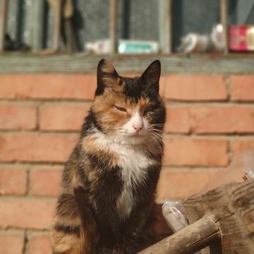 神奇的程序员于2020-02-03 10:15发布的图片