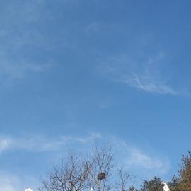 神奇的程序员于2020-02-03 10:15发布的图片