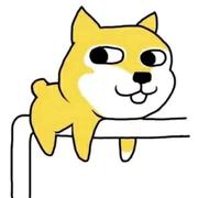 写BUG的罗小狗的个人资料头像