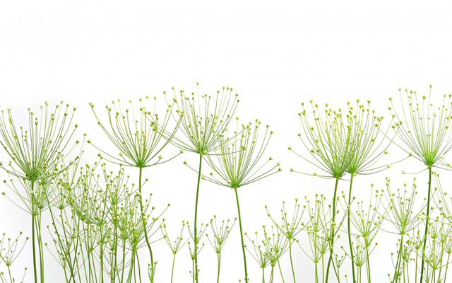 制造业企业如何从RPA中获益？