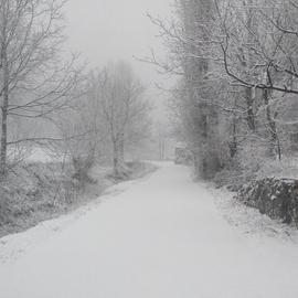 神奇的程序员于2020-02-05 18:10发布的图片