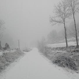 神奇的程序员于2020-02-05 18:10发布的图片