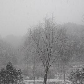 神奇的程序员于2020-02-05 18:10发布的图片