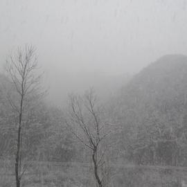 神奇的程序员于2020-02-05 18:10发布的图片