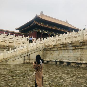 哥斯拉的小表妹于2020-02-06 11:36发布的图片